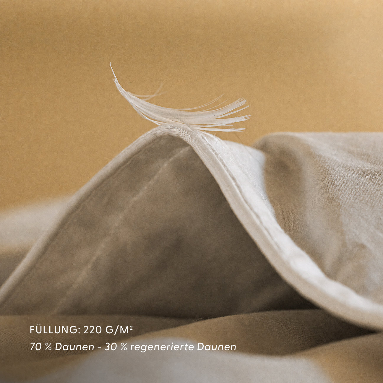 Discounted products - Dalfilo